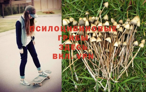 МДМА Бородино