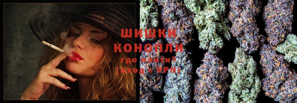 ешки Бронницы