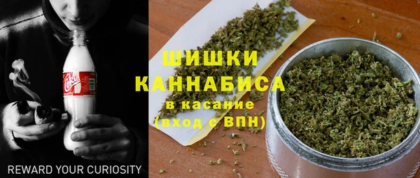 ешки Бронницы