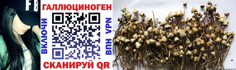 darknet клад  Данилов  omg   Псилоцибиновые грибы прущие грибы  закладки 