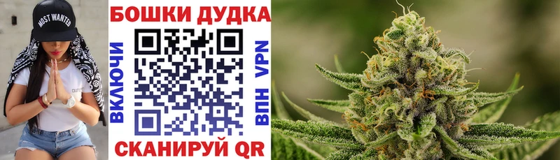 Каннабис конопля  Данилов 